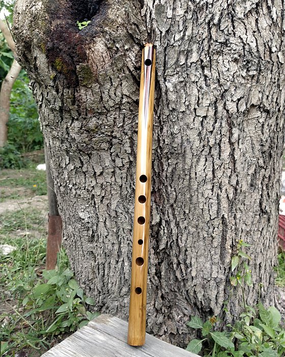 Pífano de bambu inteiro apoiado no tronco de uma árvore.