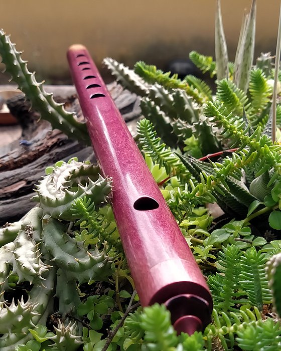 Transversal de roxinho com coroa com stopper, entre plantas.