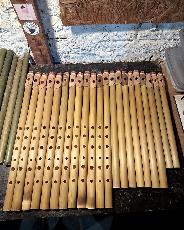 Lote de flautas de bambu na bancada, algumas já furadas.
