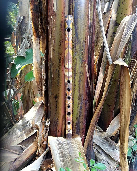 Flauta marchetada em pé, junto a uma bananeira.