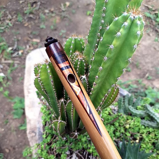 Bocal do pífano de bambu com marchetaria e coroa escura, junto a um cacto.