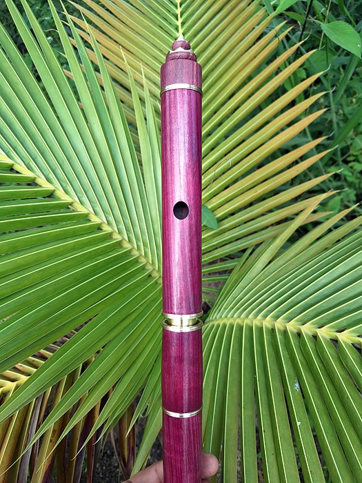 Flauta irlandesa.