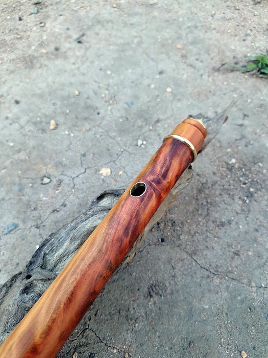 Flauta irlandesa.