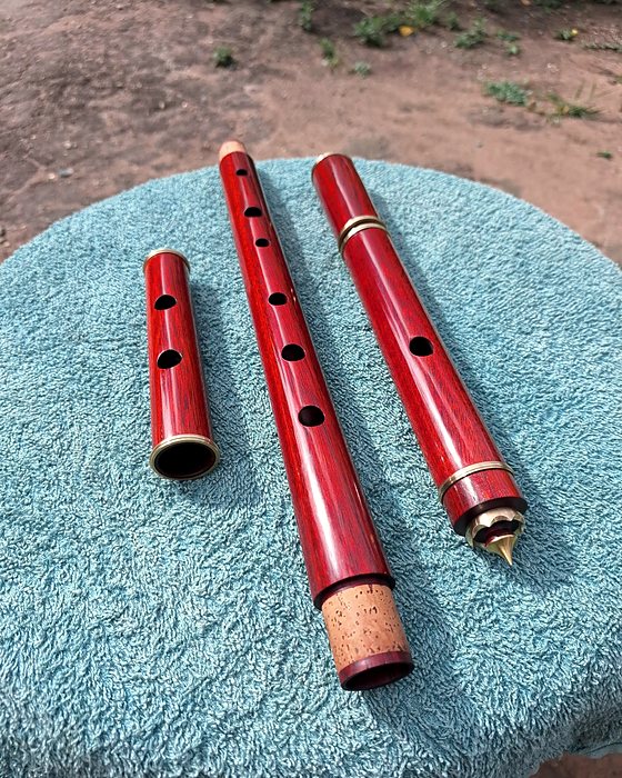 Flauta irlandesa.