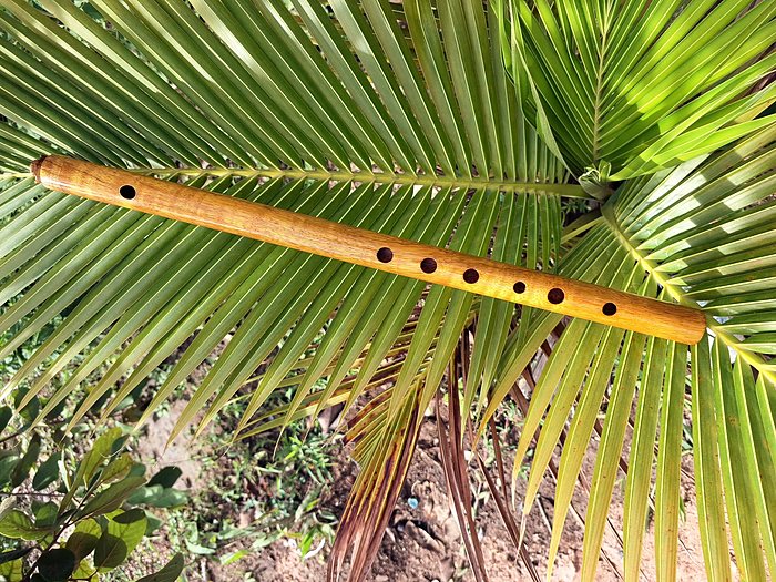 Pífano em mangueira, tom de Sol, anel de latão no bocal.