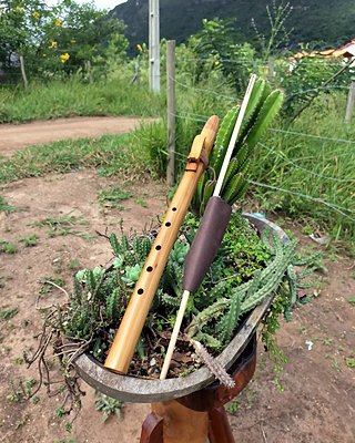 A flauta do vídeo: Flauta nativa de bambu em Sol, bocal e totem de cerejeira