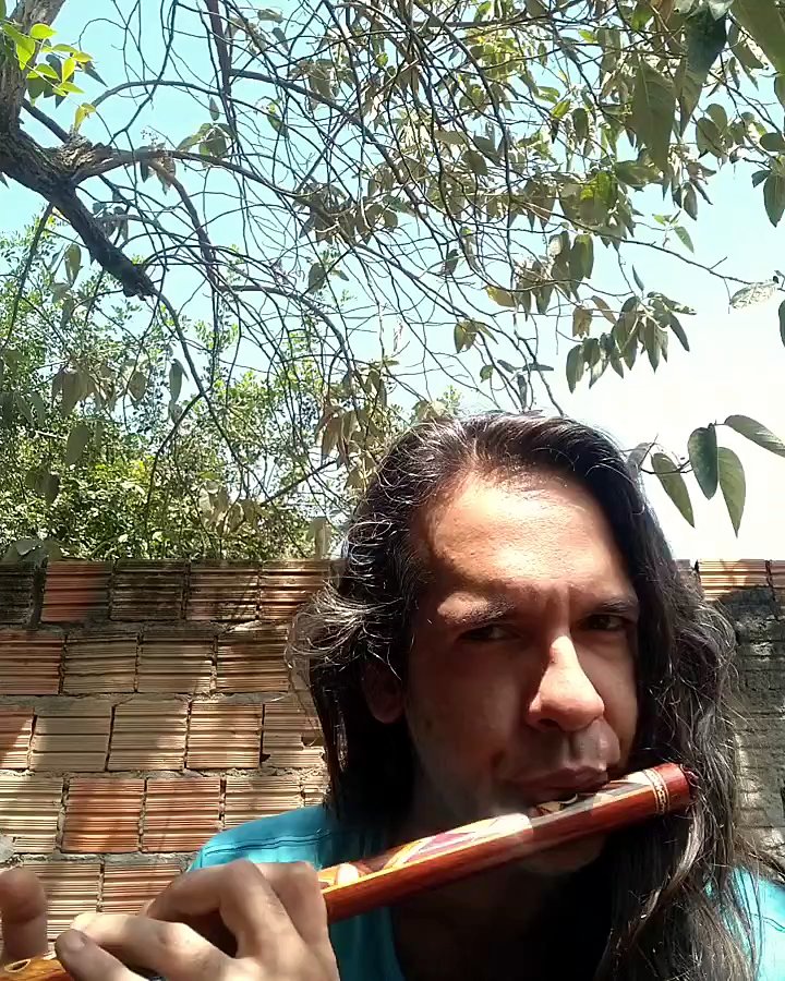 Igor tocando: Transversal de muirapiranga (conduru) com marchetaria, em Sol